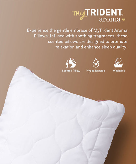 Aroma 1 Pc Pillow, Sandalwood|650 GSM Polyester