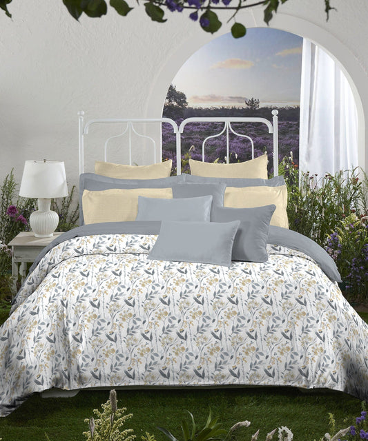 Aroma King Bedsheet With 2 Pillow Cover Gift Set, 144 TC, 100% Cotton, Vanilla