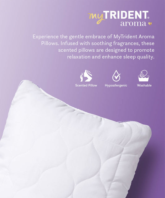 Aroma 1 Pc Pillow, Lavender, White|650 GSM Polyester
