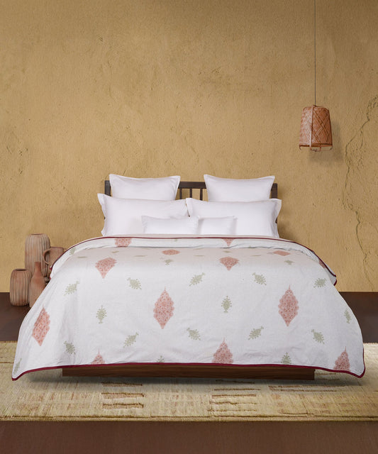 Sanskriti Double Dohar, 176 TC, 100 % Cotton, Pashmina