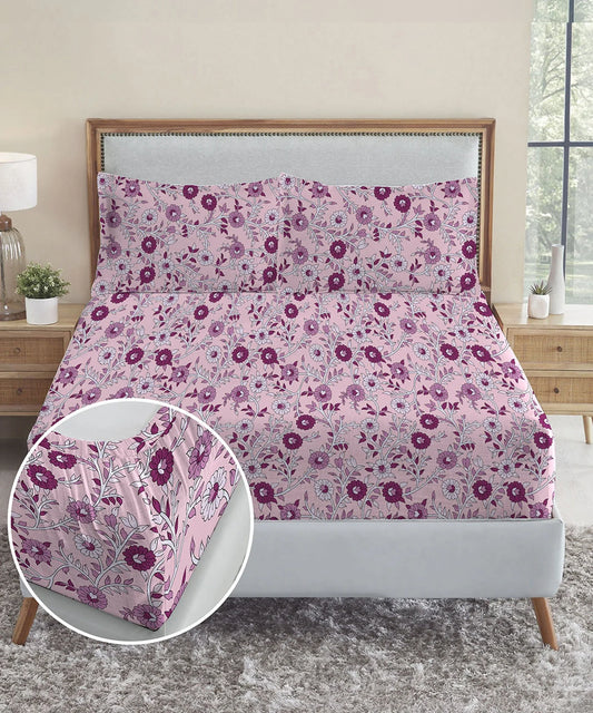Urban Comfort King Fitted Bedsheet Set, Desert Gardern Pink|144 TC Cotton| 2 Pillow Covers