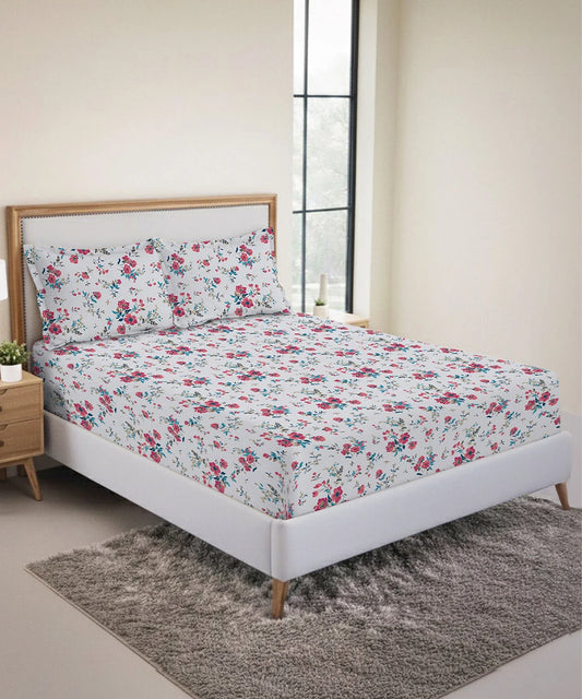 Urban Comfort King Fitted Bedsheet Set, Sunset Magenta |144 TC Cotton| 2 Pillow Covers